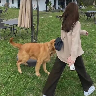 更高境界